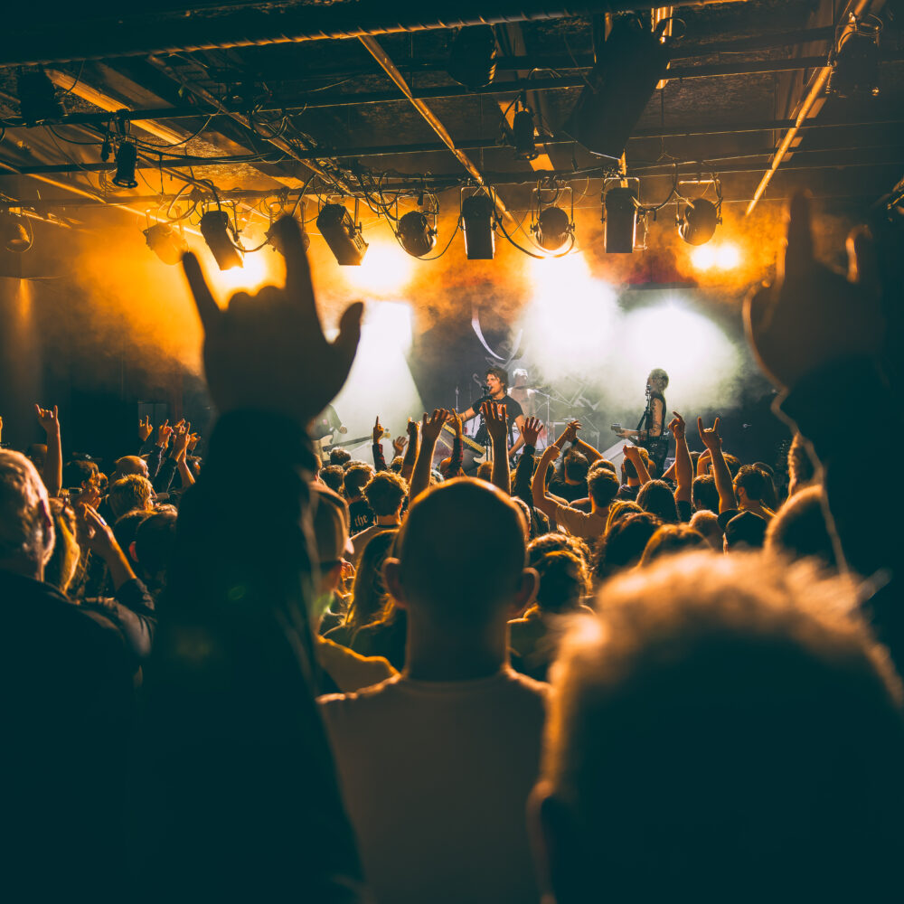 Public du concert de Pogo car Crash Control