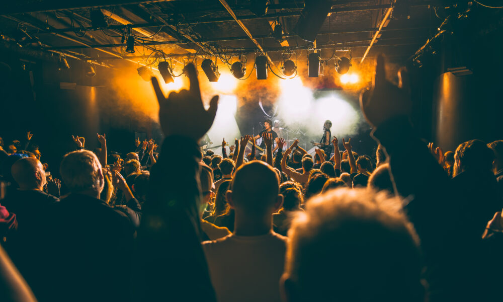 Public du concert de Pogo car Crash Control