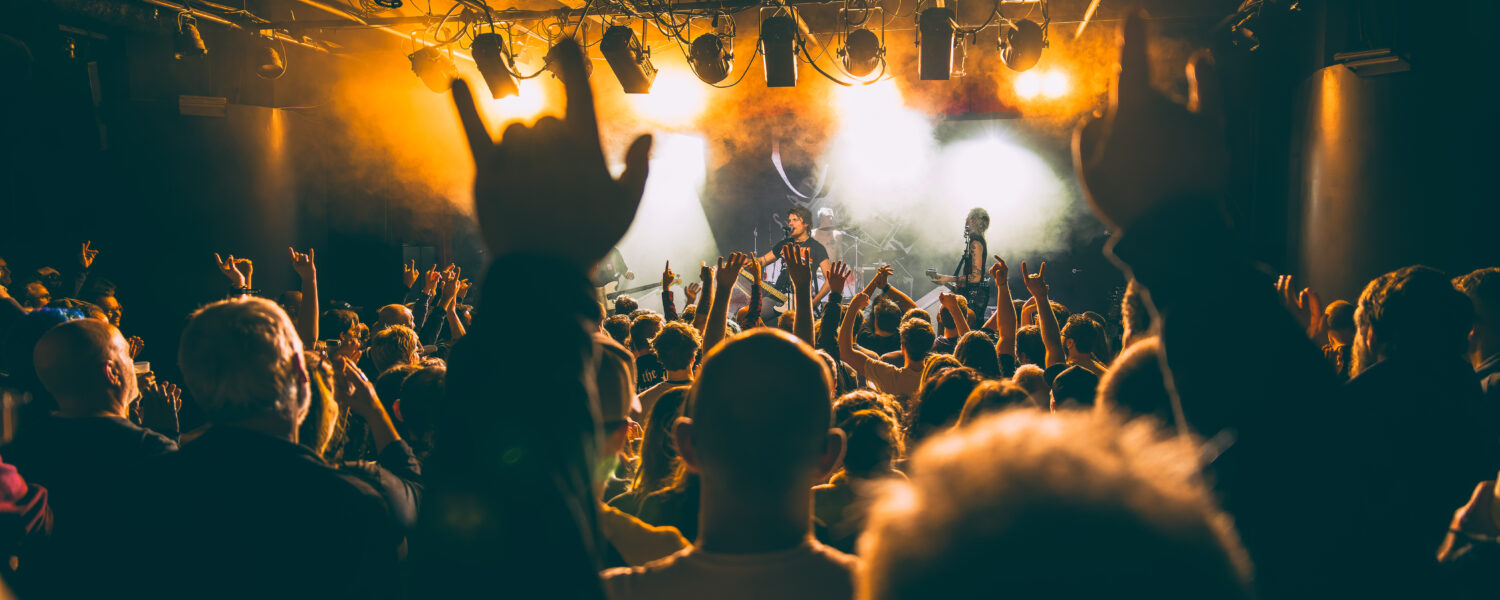 Public du concert de Pogo car Crash Control