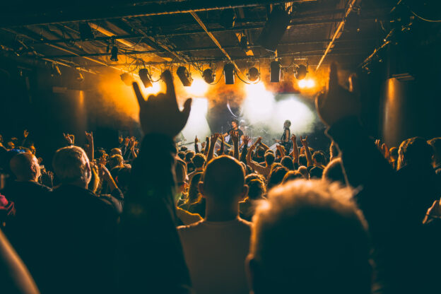 Public du concert de Pogo car Crash Control