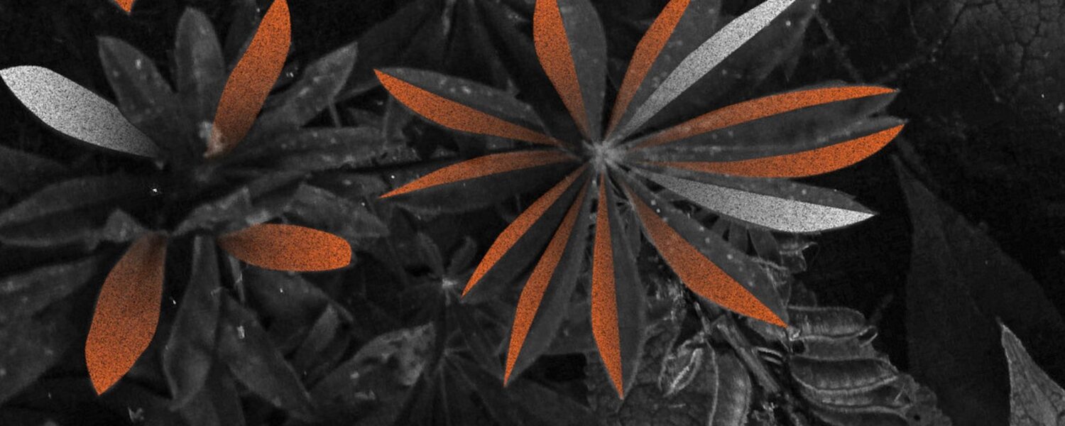 Extrait de la pochette du single de "Peu de Choses (feat. Nour) de Lo'Jo (remixé par Moon Pilot)